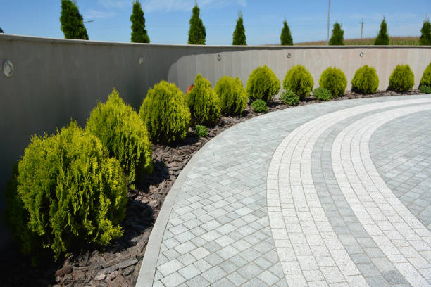 Best Decorative Driveway Pavers  in Lufkin, TX